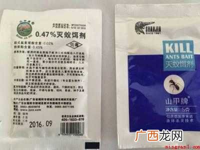 家里有小黑蚂蚁怎么能彻底消灭