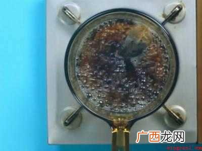水果茶怎么泡的具体操作步骤 水果茶怎么泡