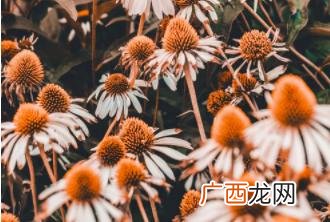 写给异地恋女友的情书 感动到哭的异地恋情书大全