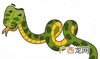 锦蛇有几种颜色 锦蛇有几种