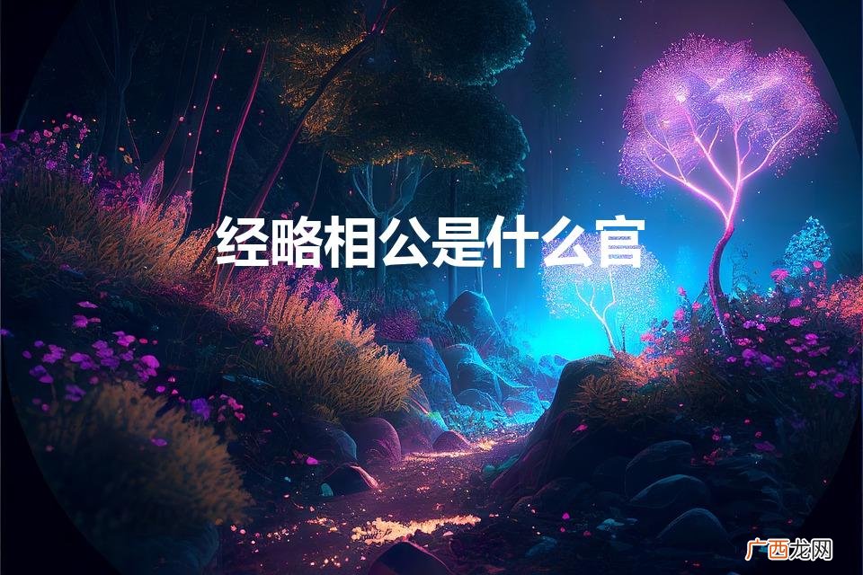 经略相公是什么官（经略相公的意思)