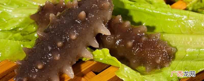 真假海参怎么鉴别 如何鉴别真假海参
