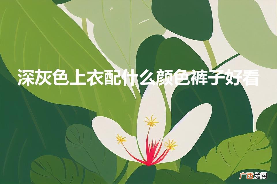 灰色裙子搭配什么颜色上衣好看 深灰色上衣配什么颜色裤子好看
