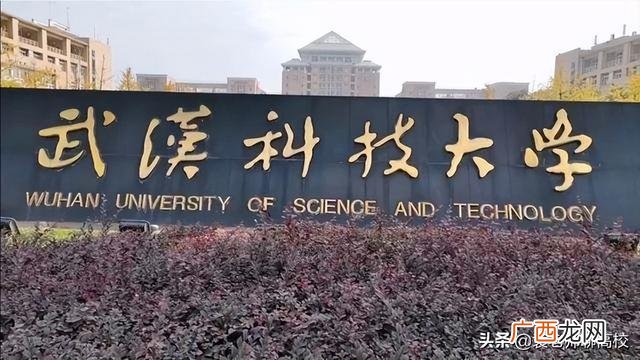 哪个实力强 武汉科技大学与湖北大学哪个好