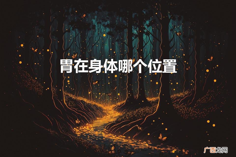 人体的胃是在什么部位 胃在身体哪个位置