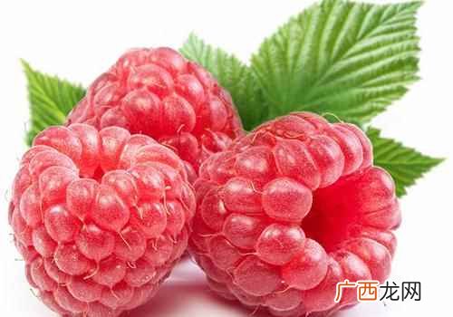 覆盆子的功效与作用点 覆盆子的功效与作用