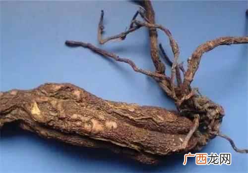何首乌怎么吃才最好 何首乌怎么吃