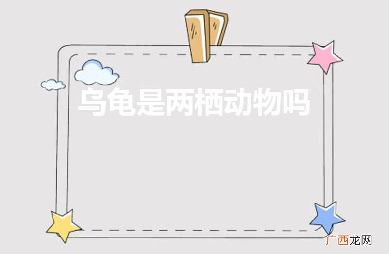 到底是不是两栖类动物 乌龟是两栖动物吗