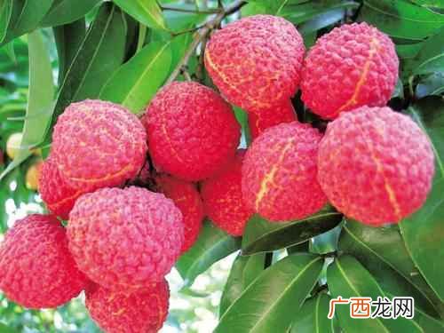 高血糖吃什么水果好些 高血糖吃什么水果好
