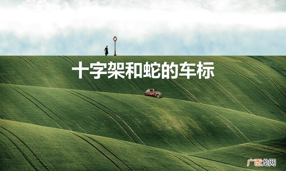 一条蛇一个十字架车标是什么 十字架和蛇的车标
