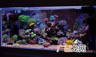 鱼缸底沙可以用河沙吗 鱼缸底沙用河沙可以吗