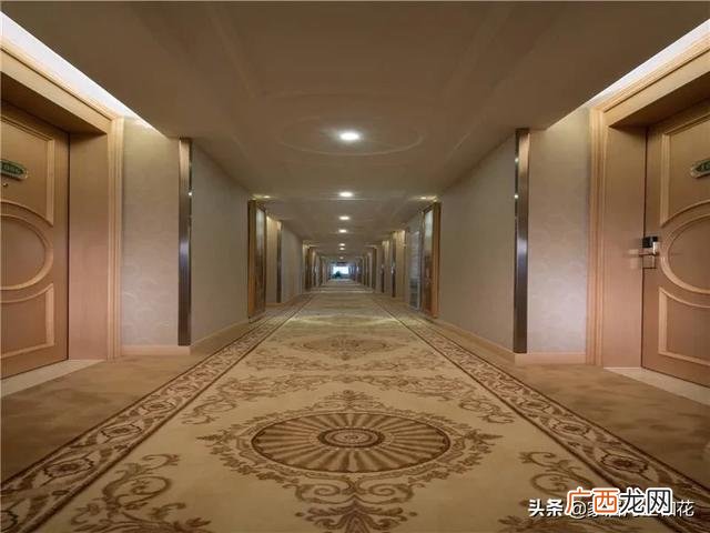 酒店客房用地毯还是地板 酒店为什么铺地毯不铺瓷砖