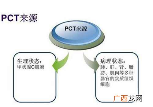 降钙素的作用机理 降钙素是什么,降钙素
