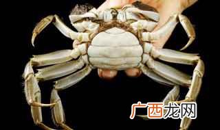 螃蟹喜欢栖居于江河、湖泊的泥案和沙滩上的洞穴里 螃蟹为什么卧沙