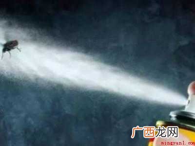 怎么治苍蝇的具体操作步骤 怎么治苍蝇