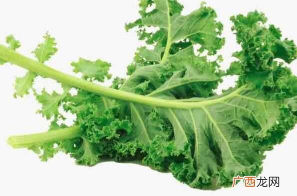 羽衣甘蓝菜怎么做好吃