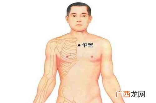 华盖的准确位置图 华盖的准确位置图作用,华盖准确位置图