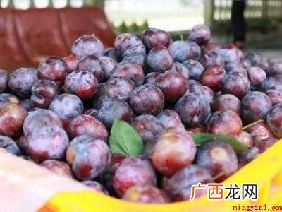 鲜李子如何保存的具体操作步骤 鲜李子如何保存
