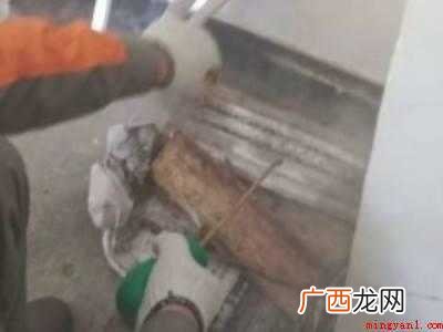 黑色带翅膀的蚂蚁怎么消灭
