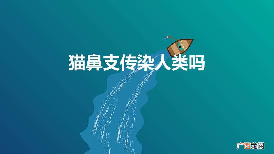 猫鼻支是什么症状 猫鼻支传染人类吗
