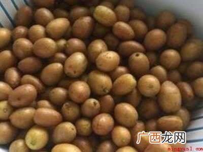 黄皮果脯的制作方法的具体操作步骤 黄皮果脯的制作方法