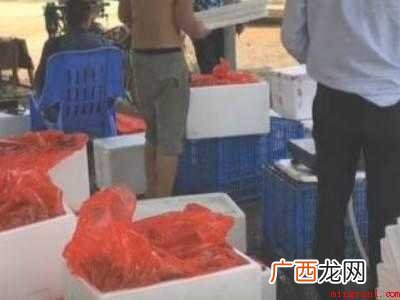 荔枝长途运输怎样包装的具体操作步骤 荔枝长途运输怎样包装
