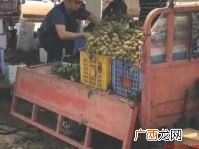 荔枝长途运输怎样包装的具体操作步骤 荔枝长途运输怎样包装