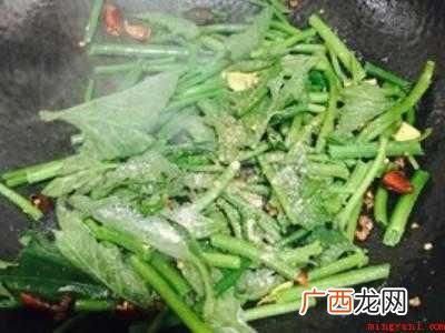 南瓜尖怎么炒才好吃的具体操作步骤 南瓜尖怎么炒才好吃