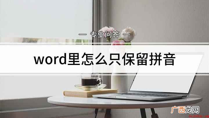 word里怎么只保留拼音