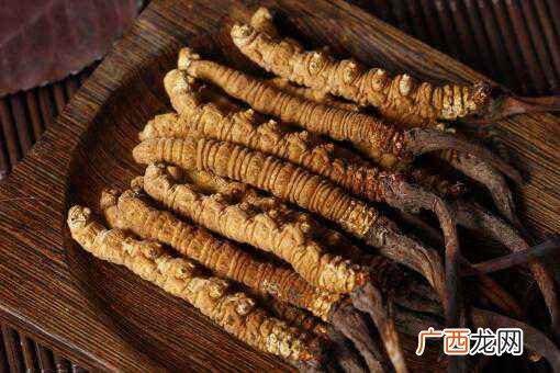 冬虫夏草的功效与作用的吃法 冬虫夏草的功效与作用哪些不宜吃