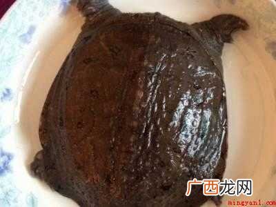 鳖怎么做汤好吃的具体操作步骤 鳖怎么做汤好吃