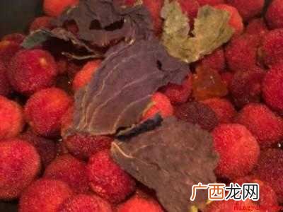 晒杨梅干的简单做法的具体操作步骤 晒杨梅干的简单做法