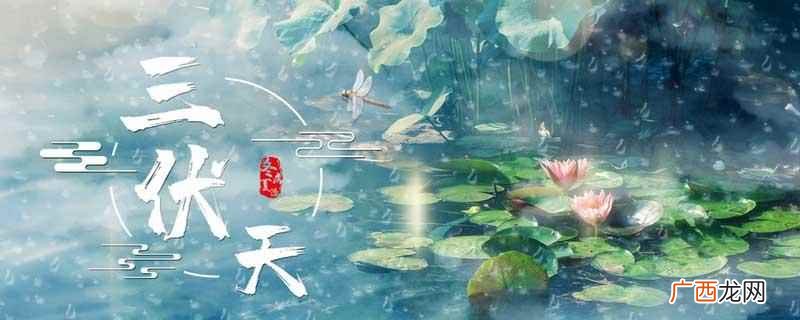 三伏贴治疗可以起到非常明显的去湿寒效果 三伏天去湿寒最好的方法,三伏天祛湿的好处