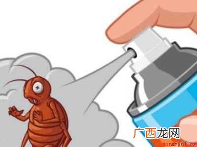 厨房有蟑螂怎么消灭干净的具体操作步骤 厨房有蟑螂怎么消灭干净