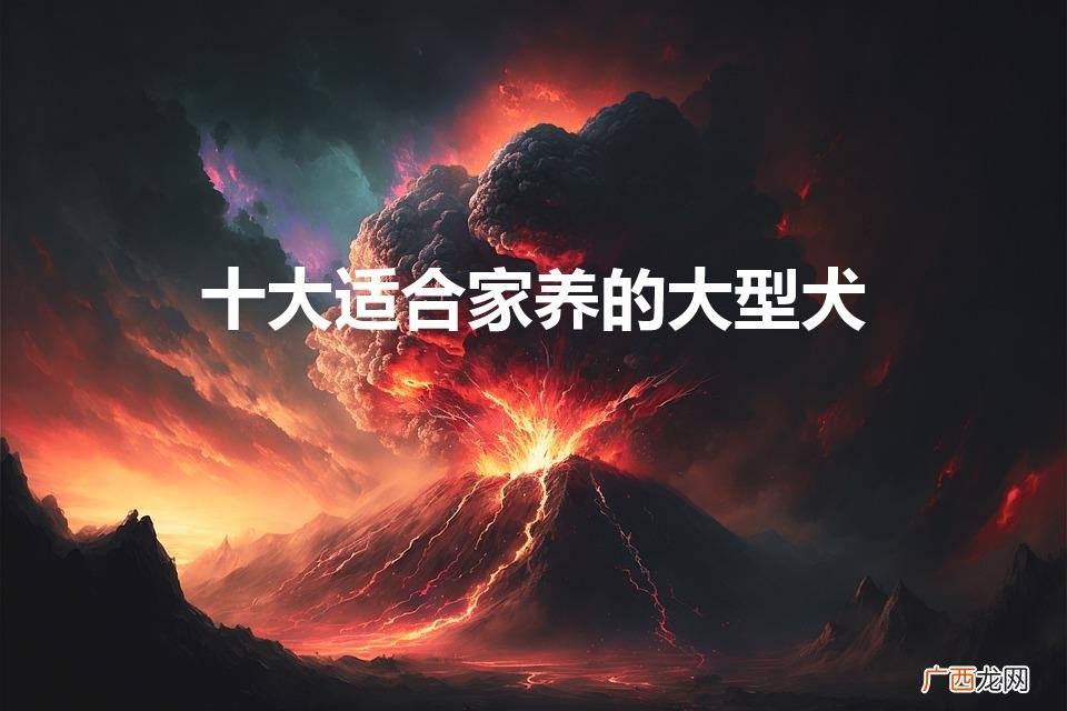 十大适合家养的大型犬（十大适合家养的小型犬)