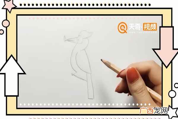 铅笔勾画出啄木鸟的形状 啄木鸟简笔画