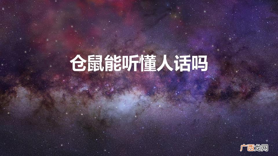 仓鼠能听懂自己的名字吗 仓鼠能听懂人话吗