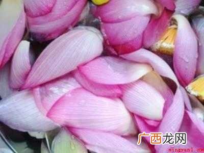 新鲜荷花怎么吃的具体操作步骤 新鲜荷花怎么吃