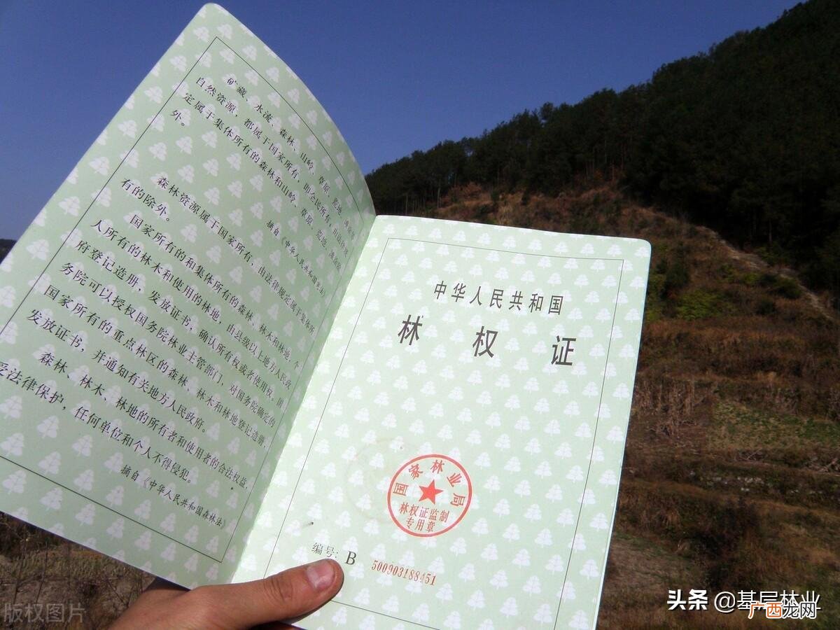 农村的自留山与责任山有什么不同 自留山是什么意思