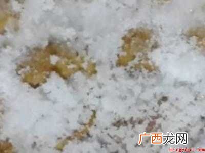 黄皮怎么腌制的具体操作步骤 黄皮怎么腌制