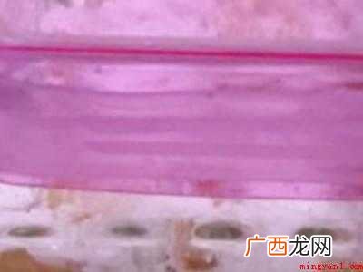黄皮怎么腌制的具体操作步骤 黄皮怎么腌制