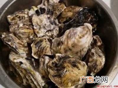 牡蛎怎么做好吃的具体操作步骤 牡蛎怎么做好吃