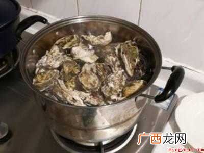 牡蛎怎么做好吃的具体操作步骤 牡蛎怎么做好吃