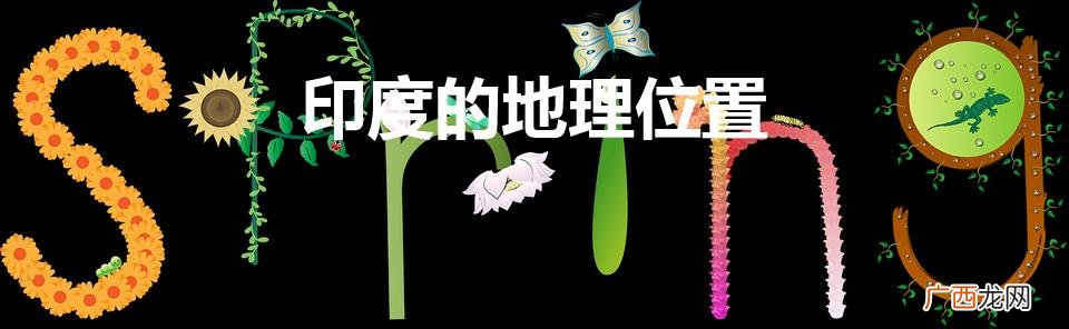 印度的地理位置（印度的地理位置及地形特点)
