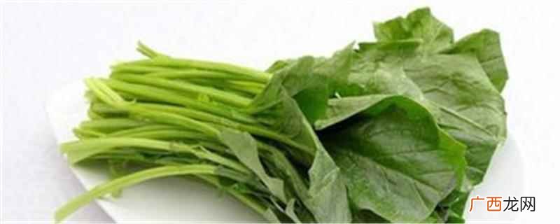 菠菜怎么做好吃又营养价值 菠菜怎么做好吃又营养