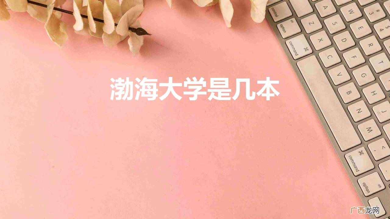 大连渤海大学是几本 渤海大学是几本