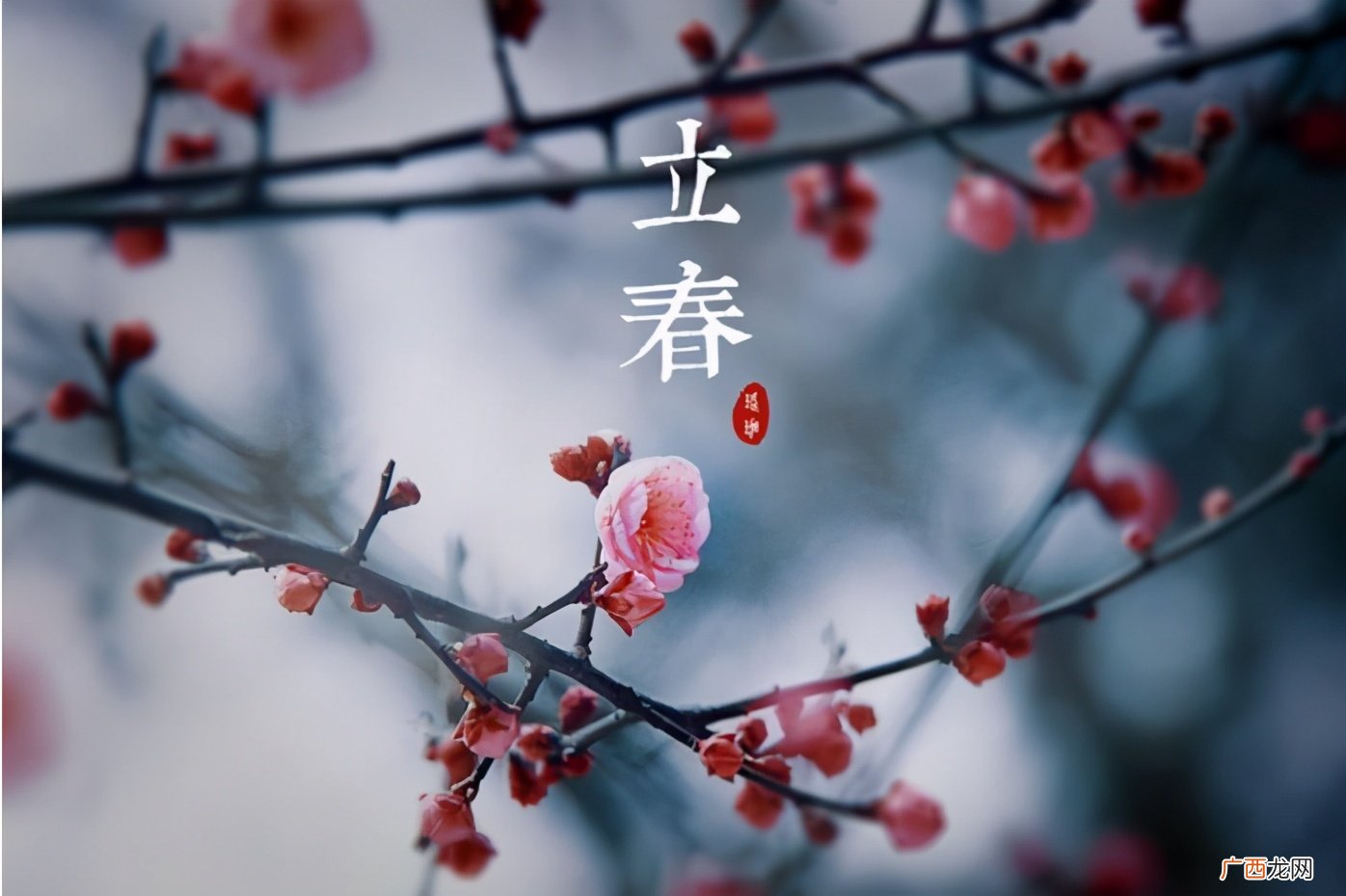 老人说的春节打春是什么意思 正月打春有什么说法