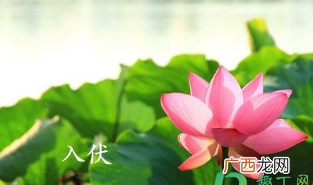 2022年三伏天和三九天的时间是什么时候 2022年三伏天和三九天时间表