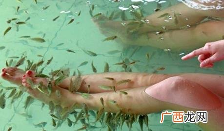 鱼疗可以治好脚气吗 做鱼疗会不会传染脚气