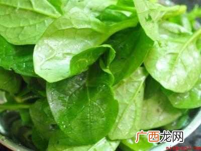 大叶木耳菜怎么做好吃共有5步 大叶木耳菜怎么做好吃